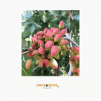 Pistache noten gepeld | 150g