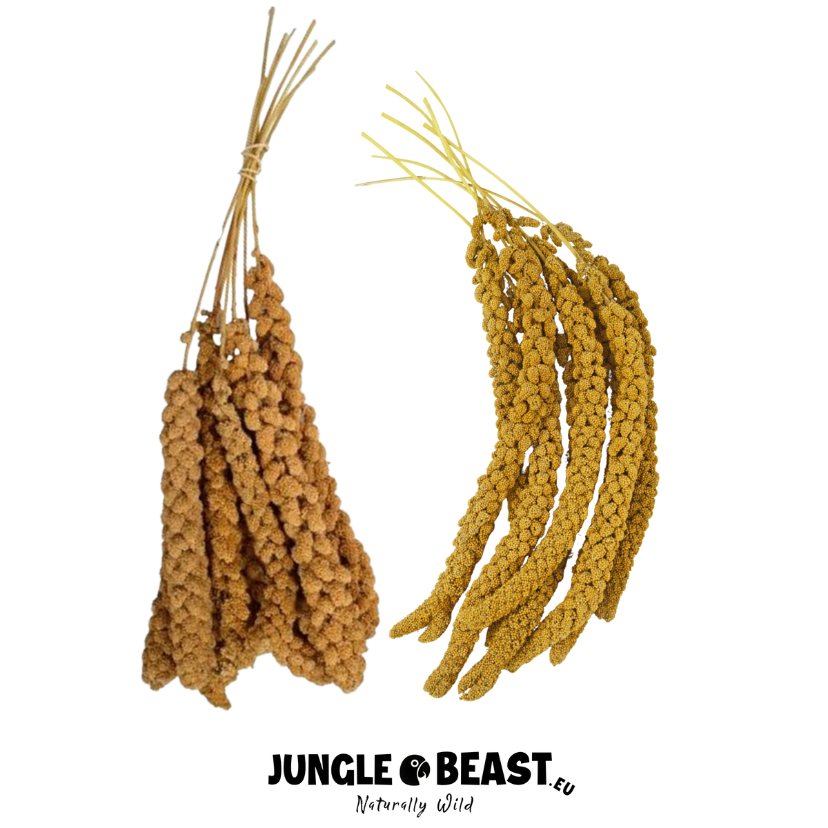 Mélange de millet en grappes | 500 g | nourriture pour perroquets