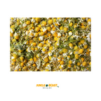 Kamillebloemen | Jungle Beast | Papegaaien