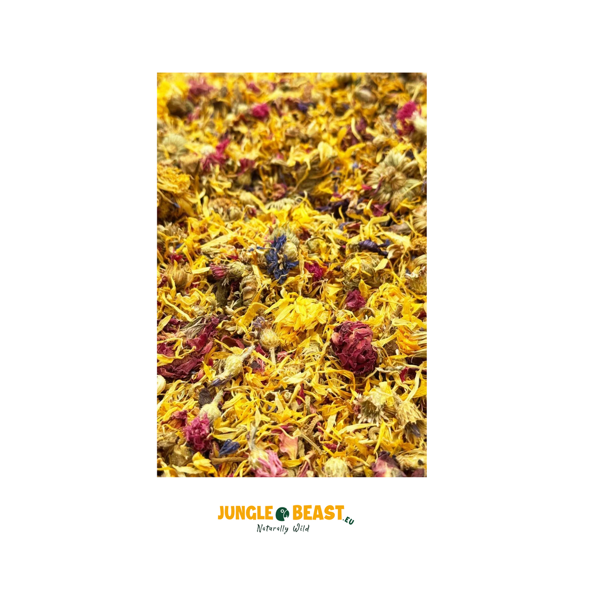 Foerageermix Wilde Jungle | alle papegaaien | 2 liter emmer