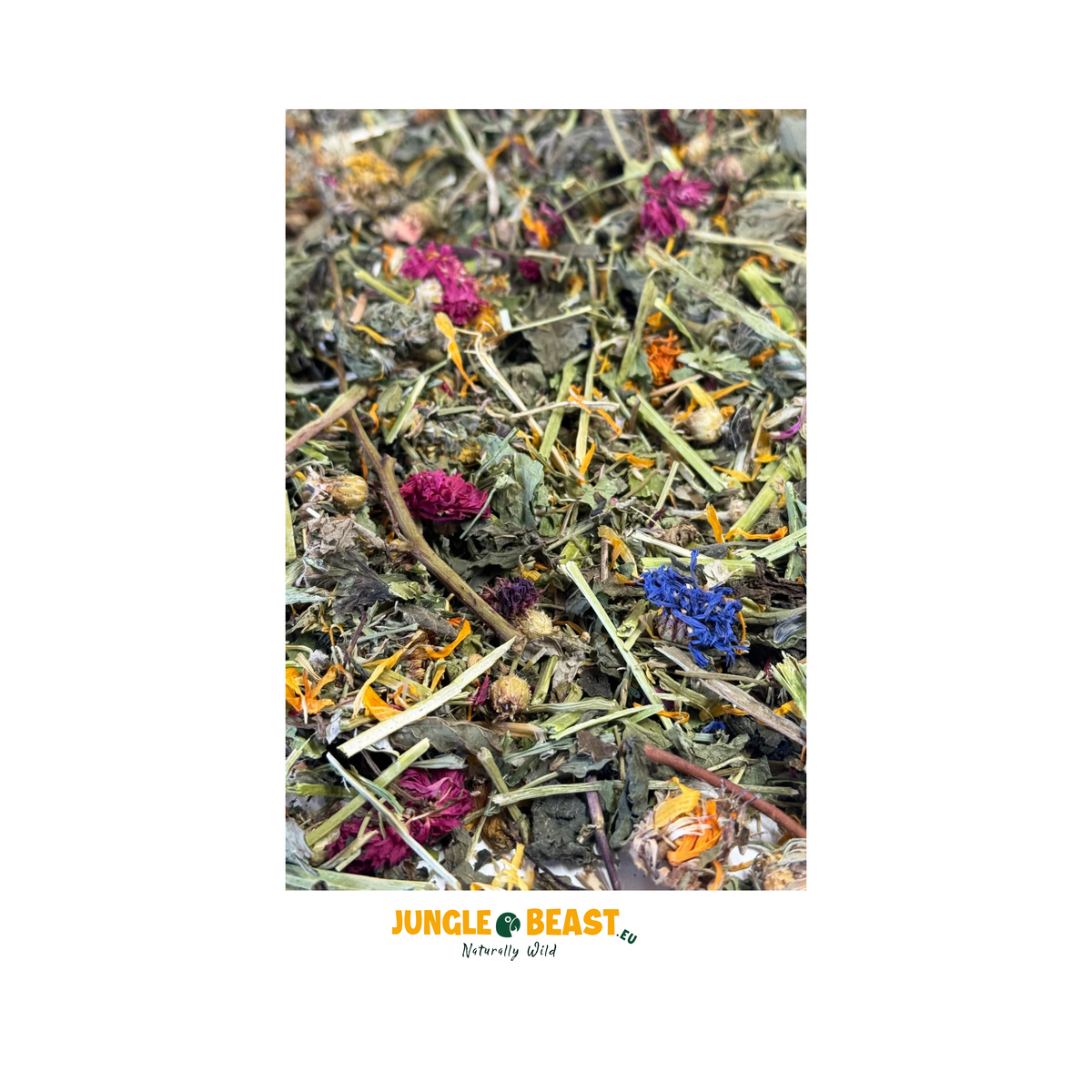 Foerageermix | Regenwoud Bloemen- & Kruidenmix | 100% Graanvrij | Papegaaien en Knaagdieren | 2L emmer