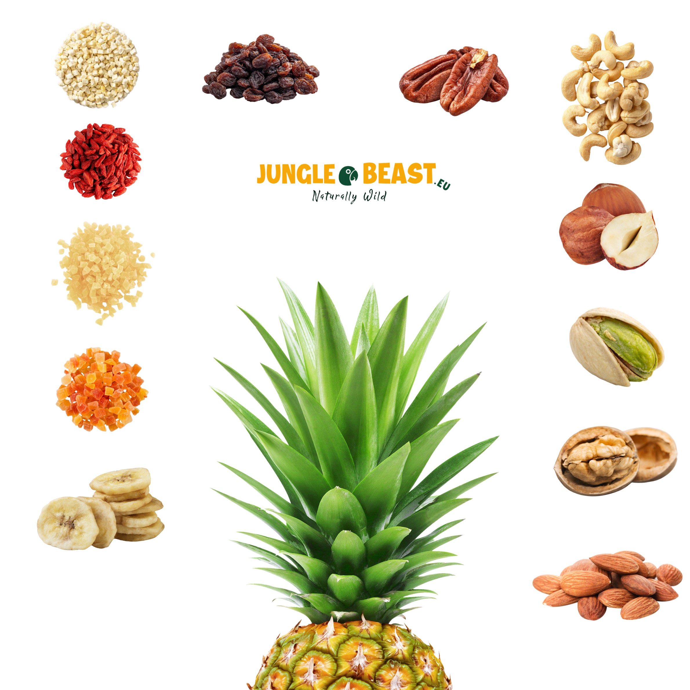Noten & fruit mix | medium & grote papegaaien 300g | papegaaienvoer