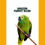 amazone papegaai op stok