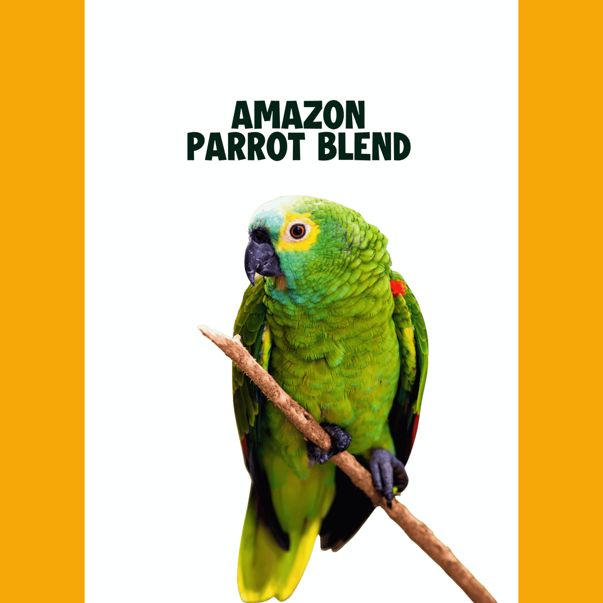 amazone papegaai op stok
