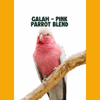 Galah - Pink papegaaien | PUUR Blend