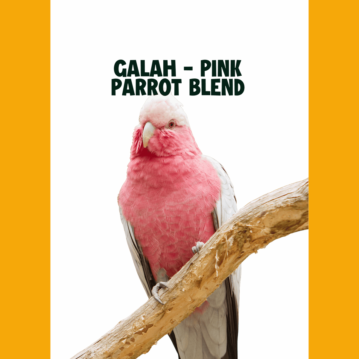 Galah - Pink papegaaien | PUUR Blend