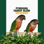 Pyrrhura | WILDERNIS Blend