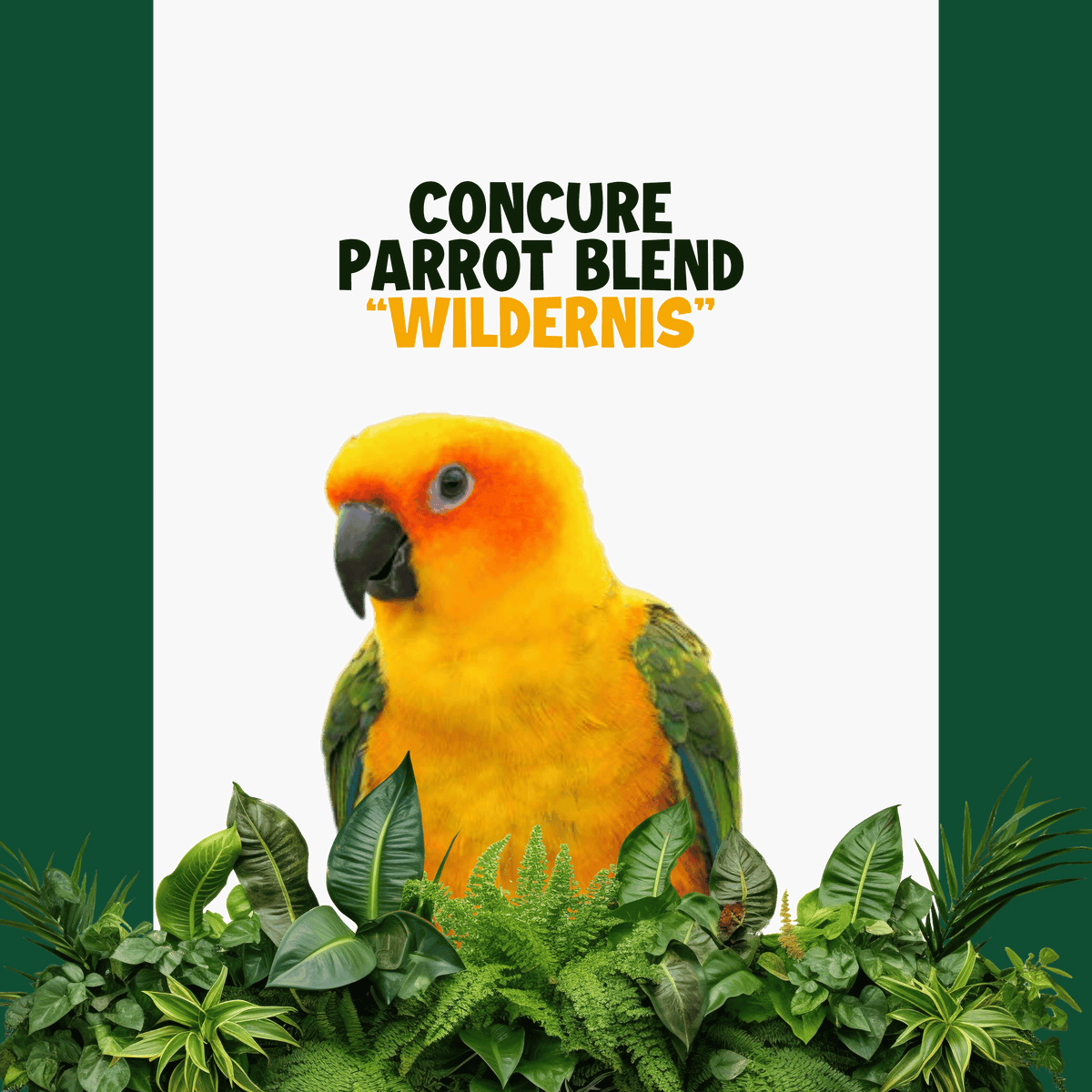 Conure papegaaien | WILDERNIS Blend