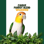 Caique  | WILDERNIS blend