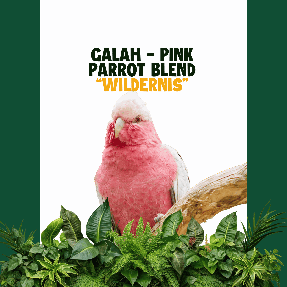 Galah - Pink papegaaien | WILDERNIS Blend