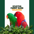 Eclectus - Edelpapegaai | WILDERNIS Blend