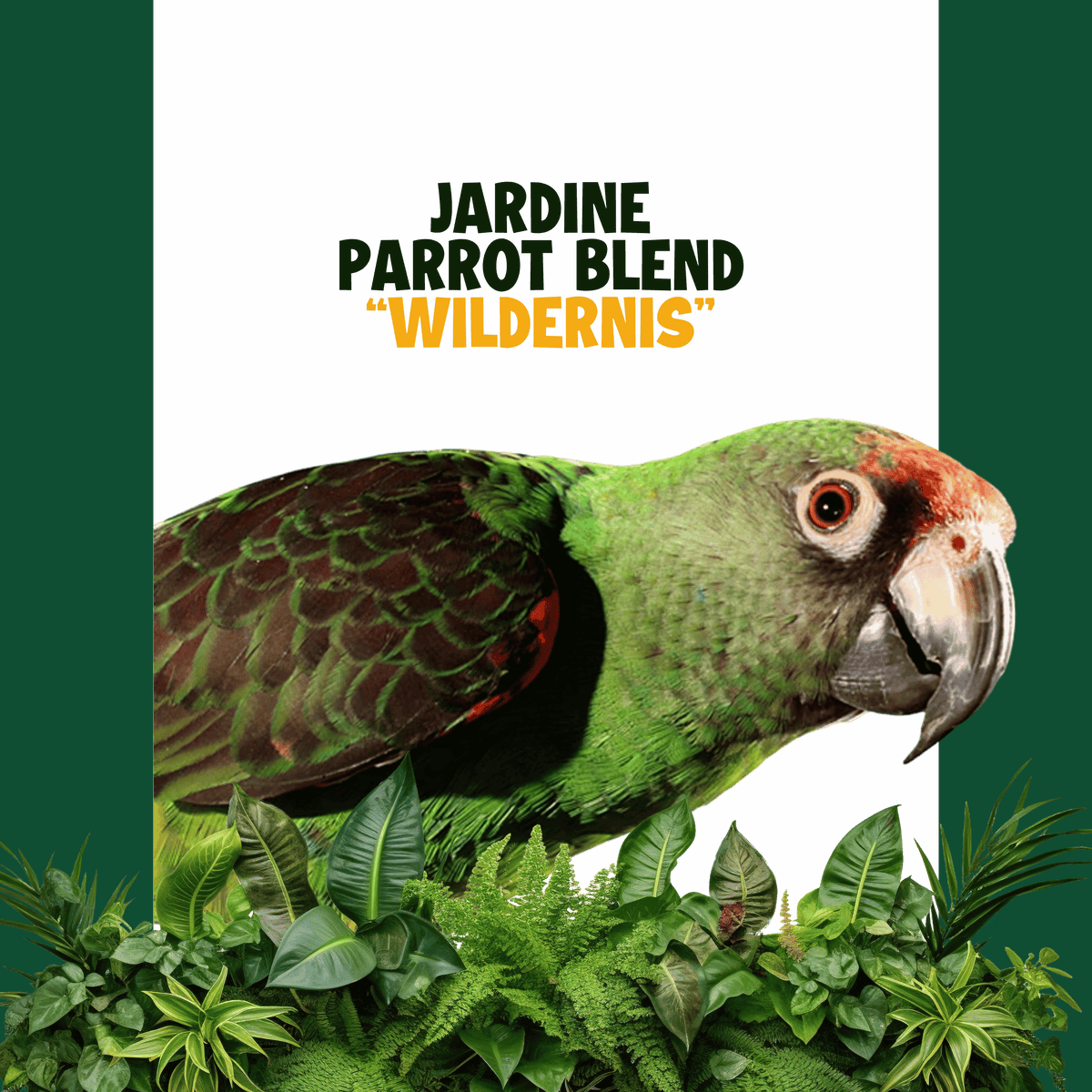 Jardine Papegaai | WILDERNIS Blend