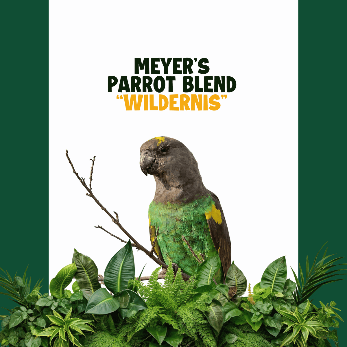 Meyer's Papegaai | WILDERNIS Blend
