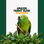 Amazone papegaaien| WILDERNIS Blend