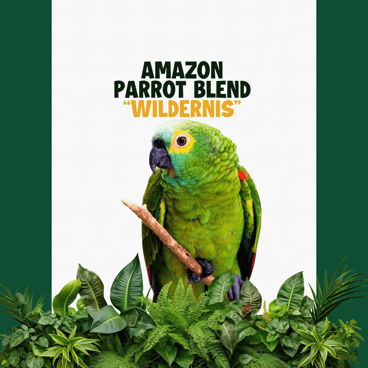 Amazone papegaaien| WILDERNIS Blend