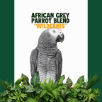 Roodstaart papegaai | WILDERNIS Blend