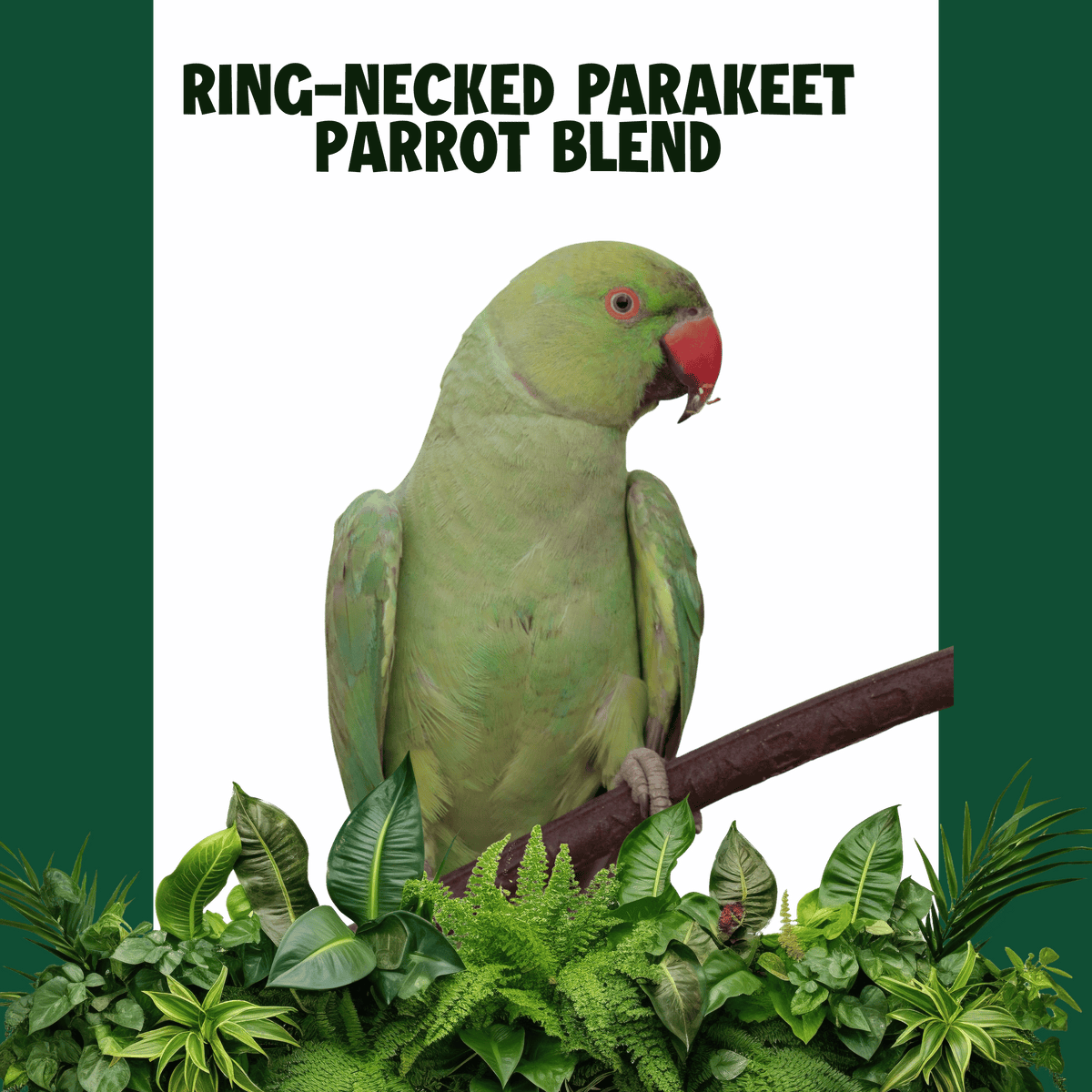 Halsband Parkiet | WILDERNIS BLEND