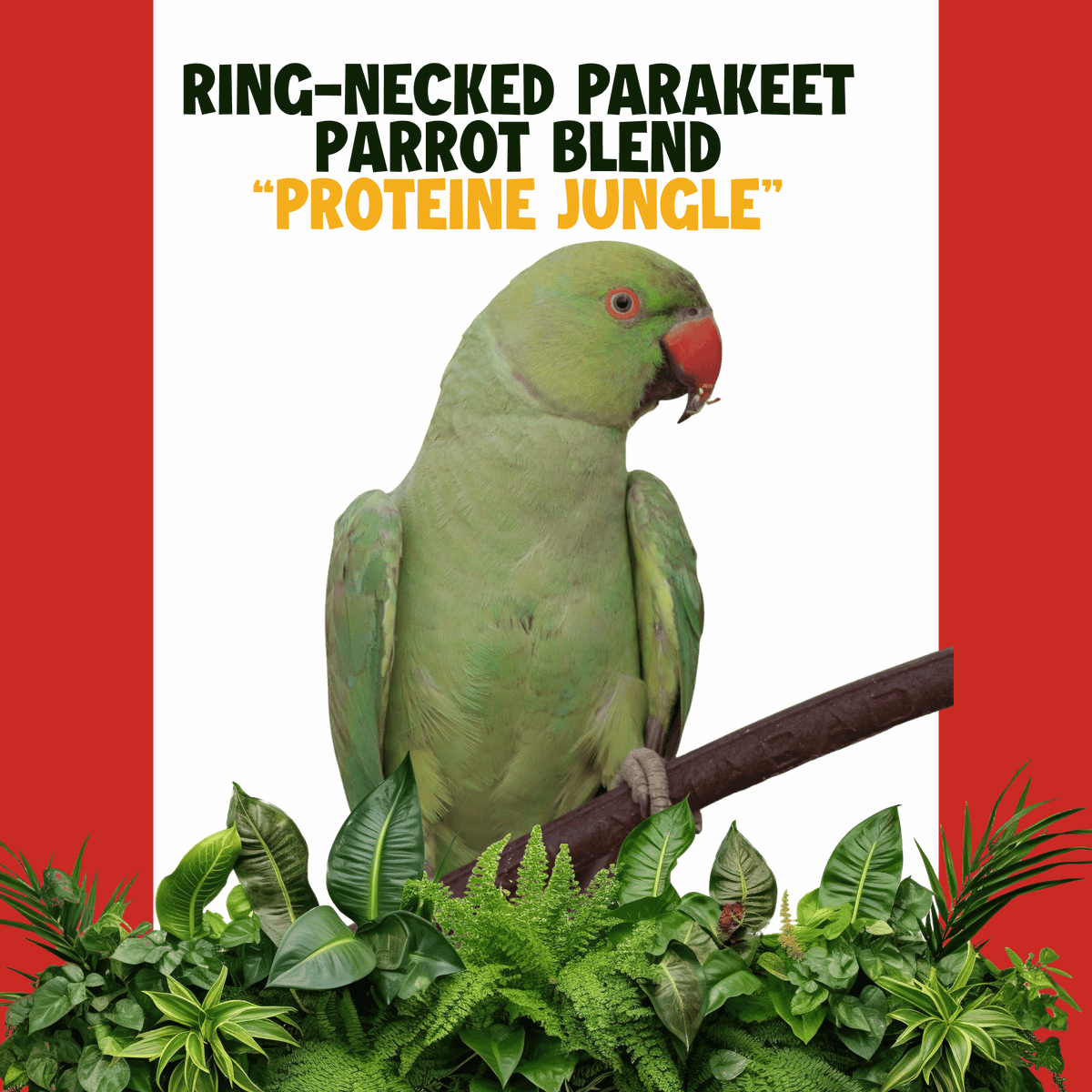 Halsbandparkiet | JUNGLE PROTËINE Blend