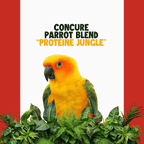 Conure | JUNGLE PROTËINE Blend