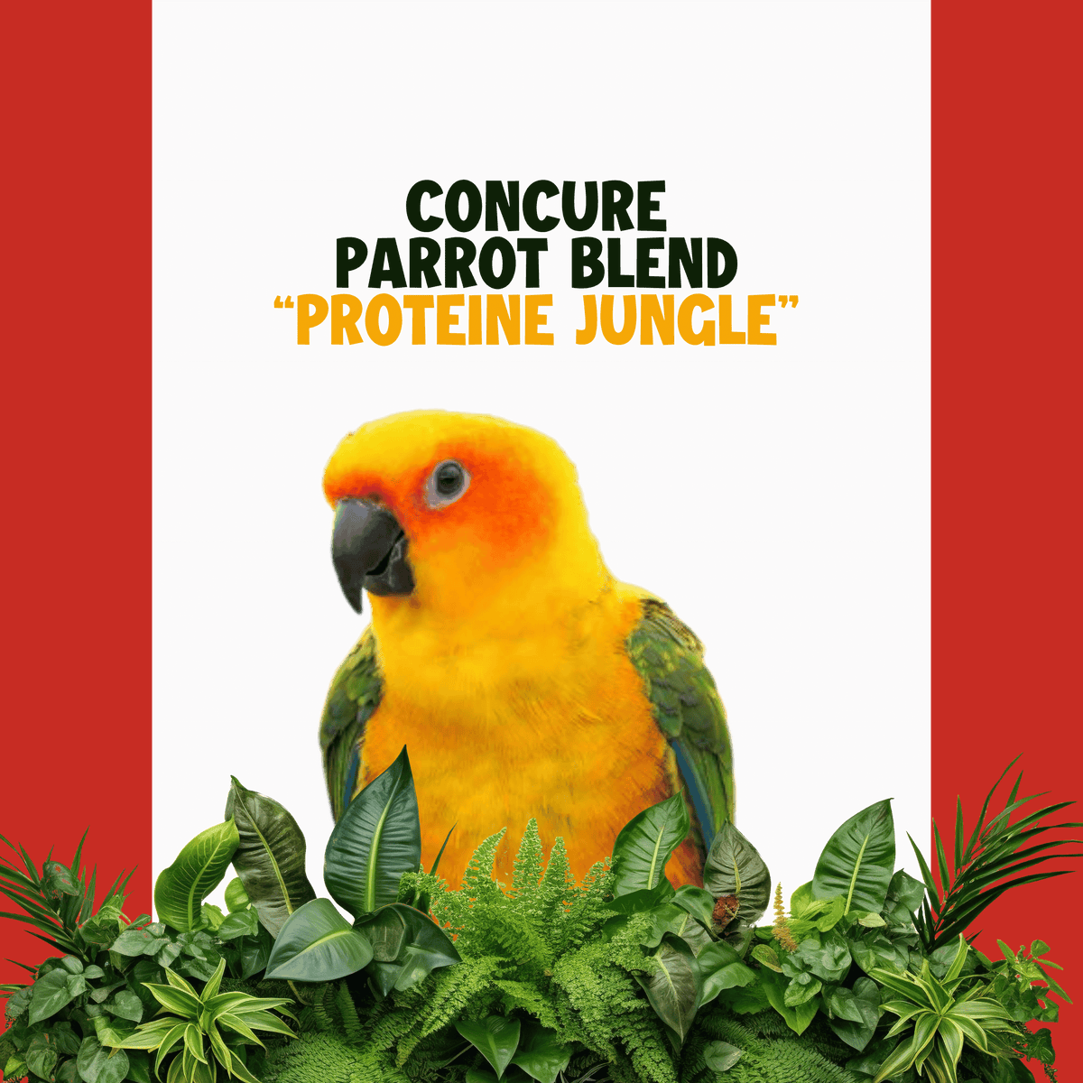Conure | JUNGLE PROTËINE Blend