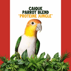 Caique | JUNGLE PROTËINE Blend