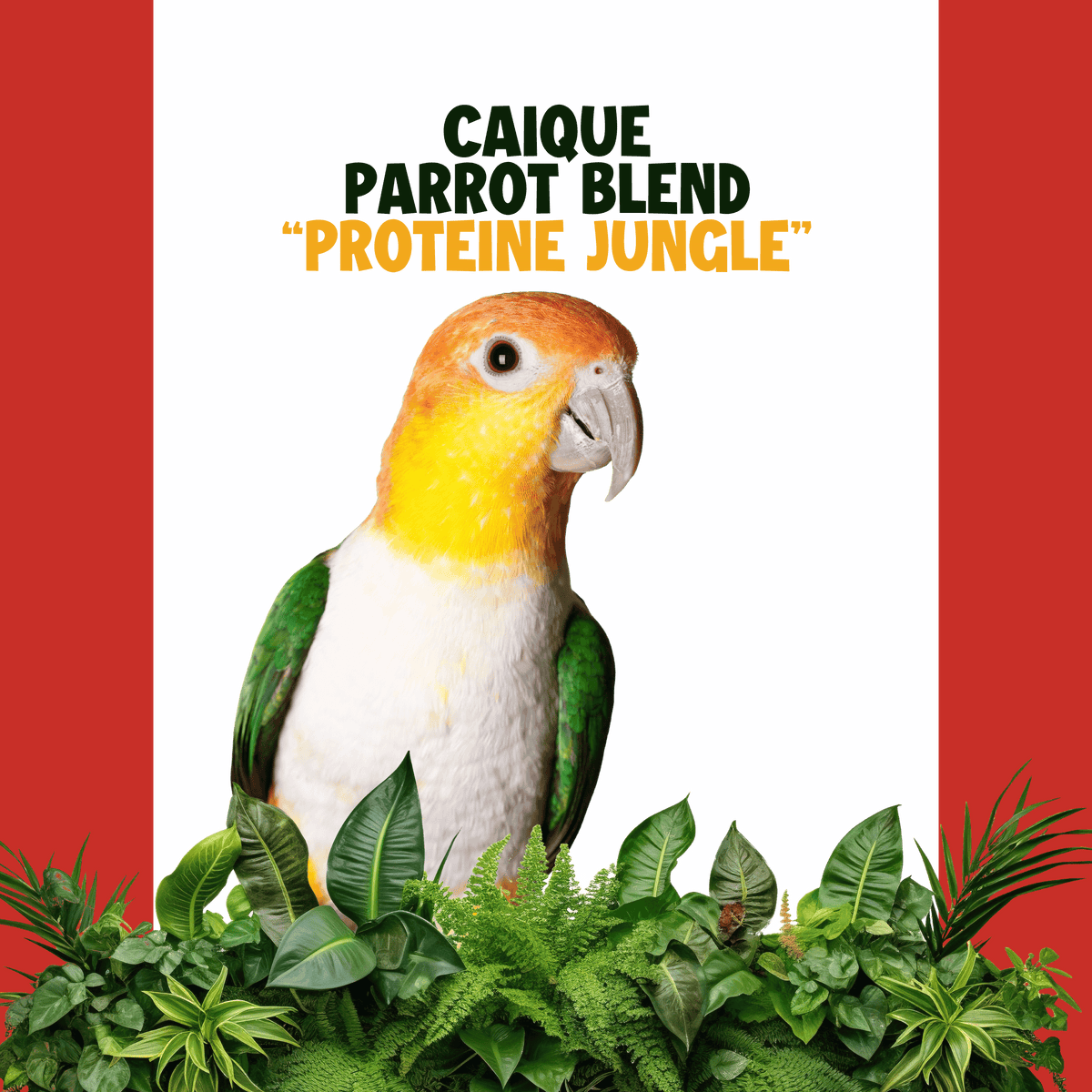 Caique | JUNGLE PROTËINE Blend