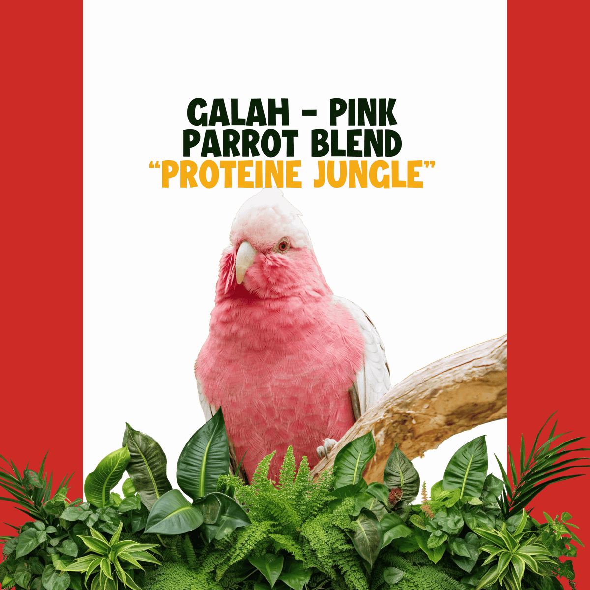 Galah-Pink Kaketoe | JUNGLE PROTËINE Blend