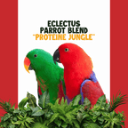 Eclectus-Edelpapegaai | JUNGLE PROTËINE Blend