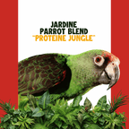 Jardine papegaai | JUNGLE PROTËINE Blend
