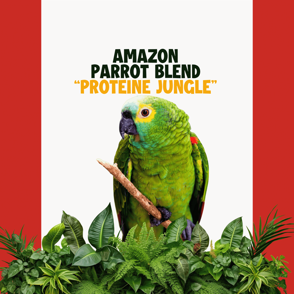 Amazone | JUNGLE PROTËINE Blend