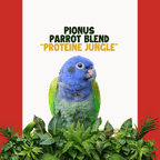 Pionus | JUNGLE PROTËINE Blend