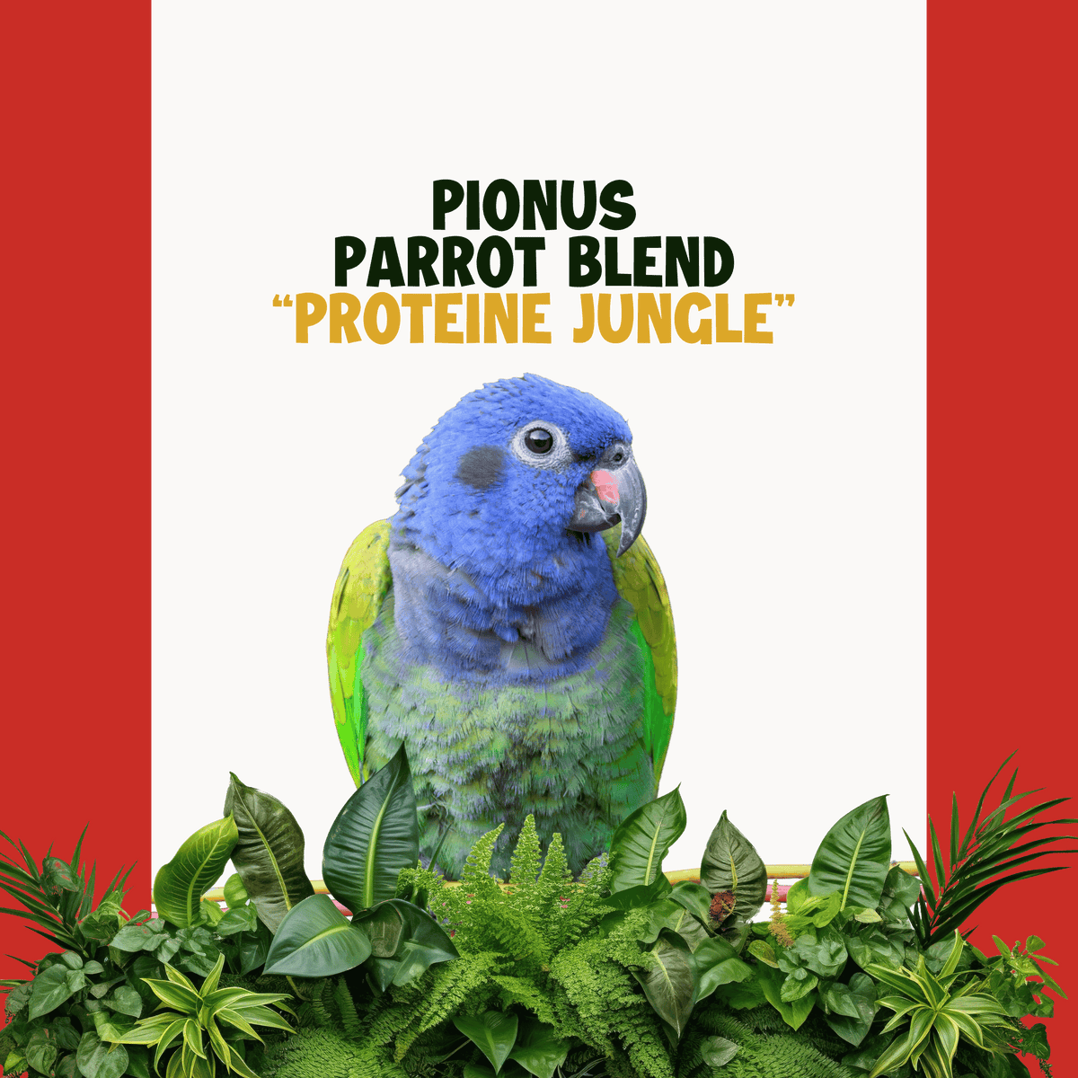 Pionus | JUNGLE PROTËINE Blend