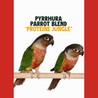 Pyrrhura | JUNGLE PROTËINE Blend