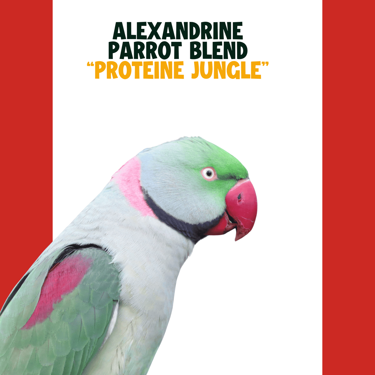 Grote Alexanderparkiet | JUNGLE PROTËINE Blend