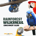 REGENWALD-WILDNIS | Große Papageien