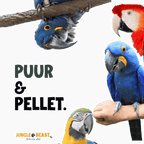 PUUR + PELLET MIX | Große Papageien