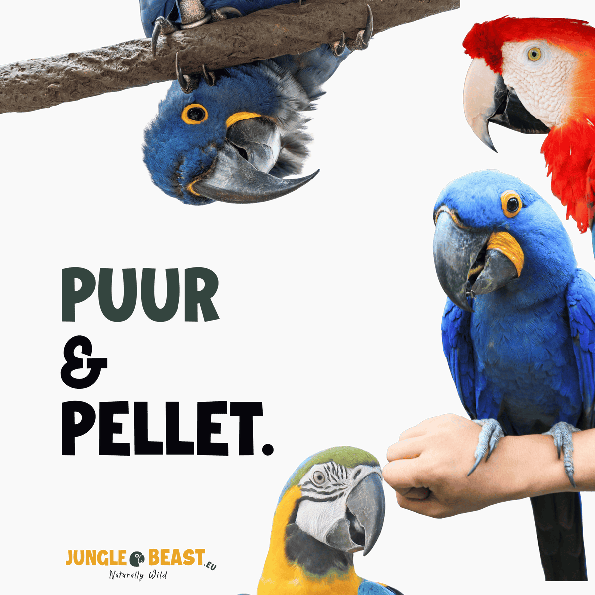 PUUR + PELLET MIX | Große Papageien