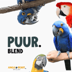 PUUR | Grote papegaaien | Nieuwe blend zonder zonnebloempitten | PRE- ORDER