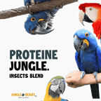 PROTEÏNE JUNGLE | Große und mittelgroße Papageien