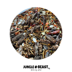 Conure | JUNGLE PROTËINE Blend