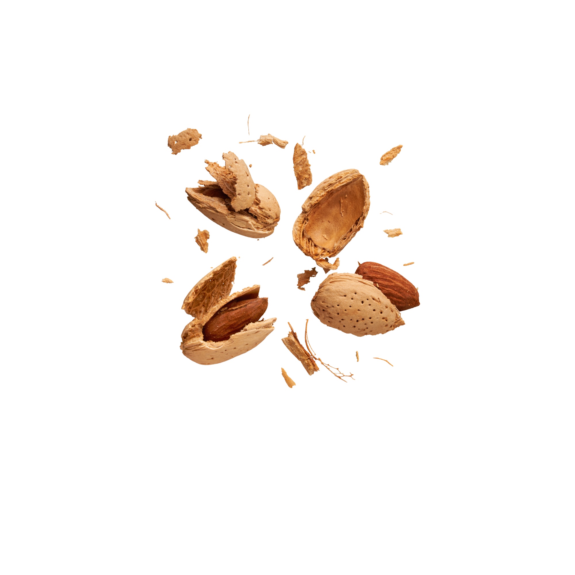 Amandelen in dop | 500g | noten