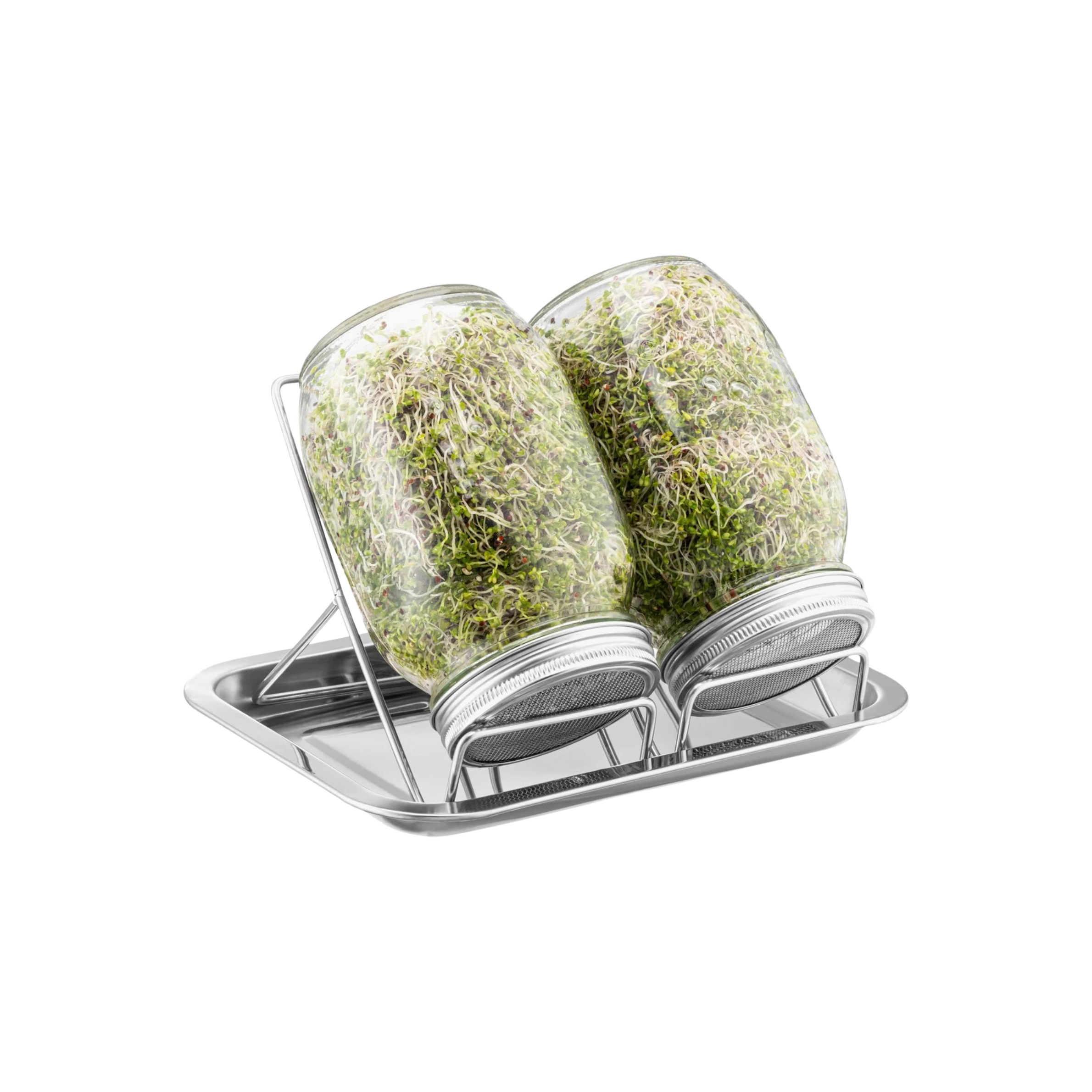Kiempotset | Kweek Verse Kiempjes Voor Jouw Papegaai | foerageer