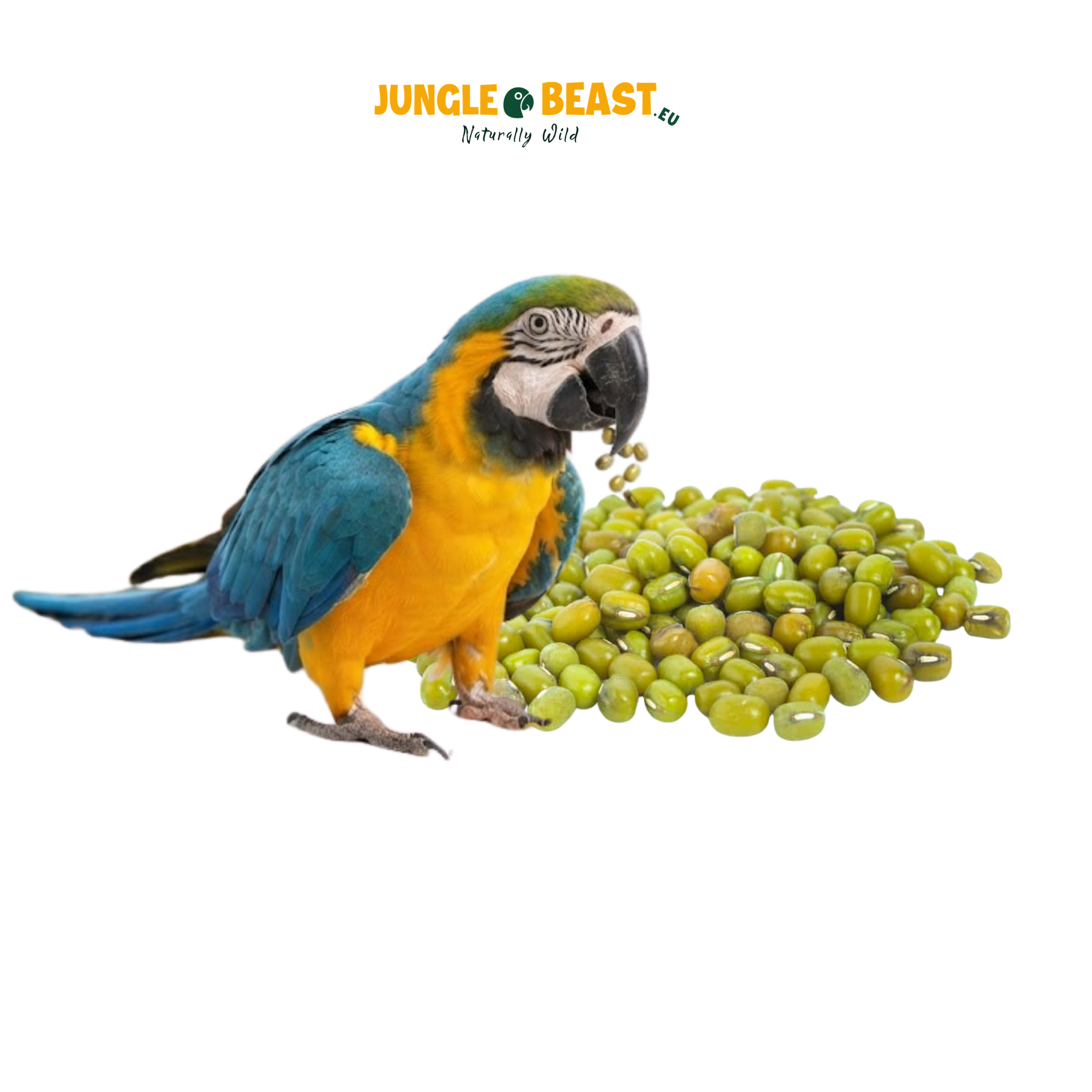 Mung Bonen | Katjang Idjoe | 100g