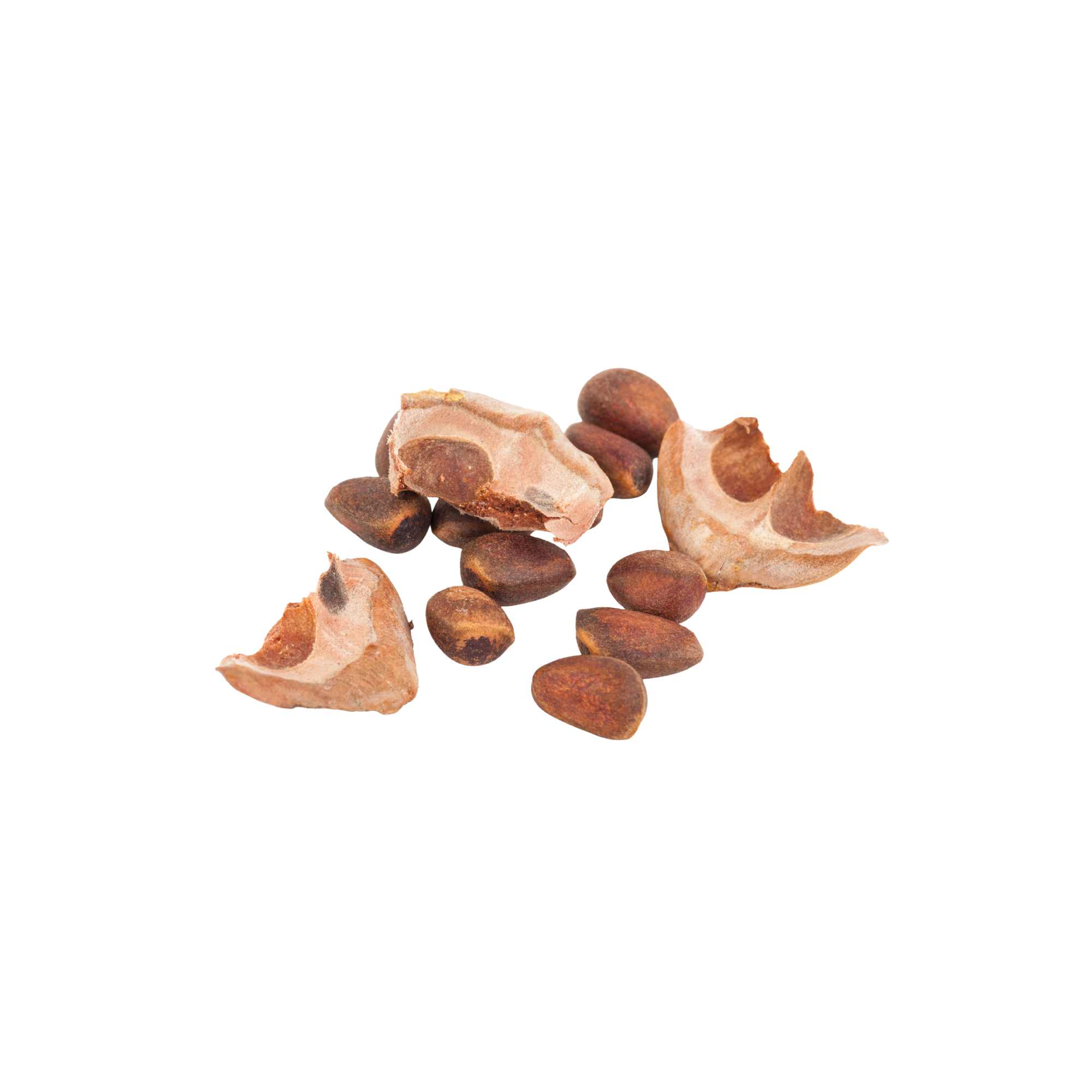 Cedernoten | 500g | noten