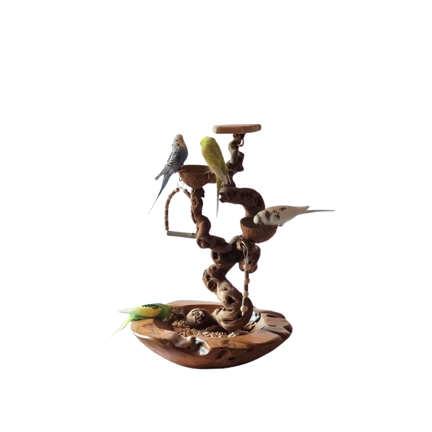 MysticForest | Jungle speelstand | kleine papegaaien | handgemaakt