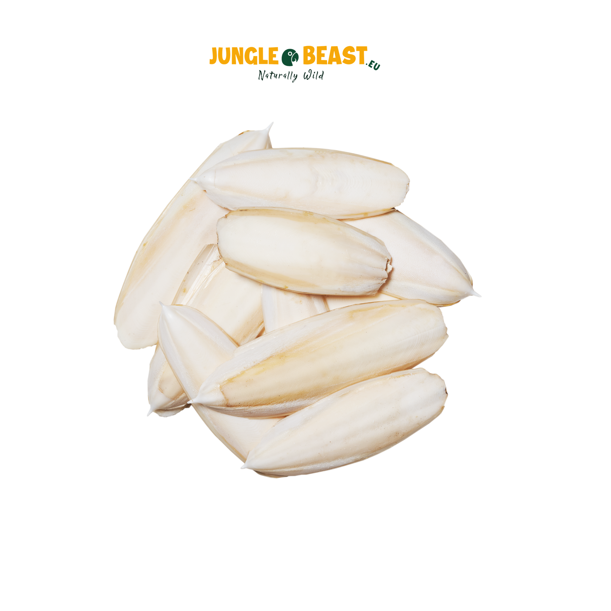 sepiaschelpen voor papegaaien