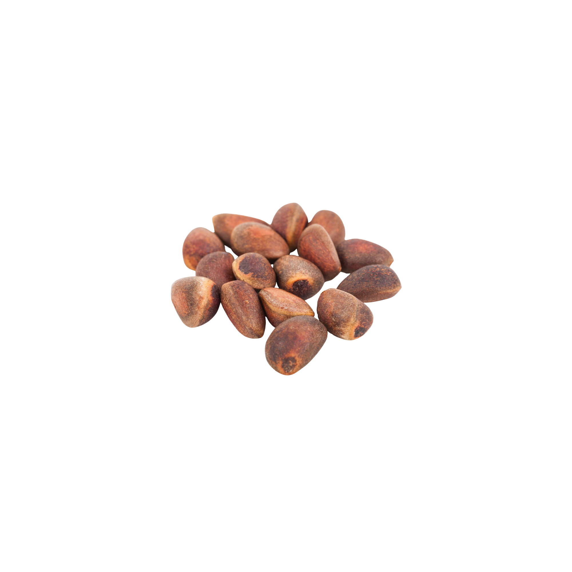 Cedernoten | 500g | noten