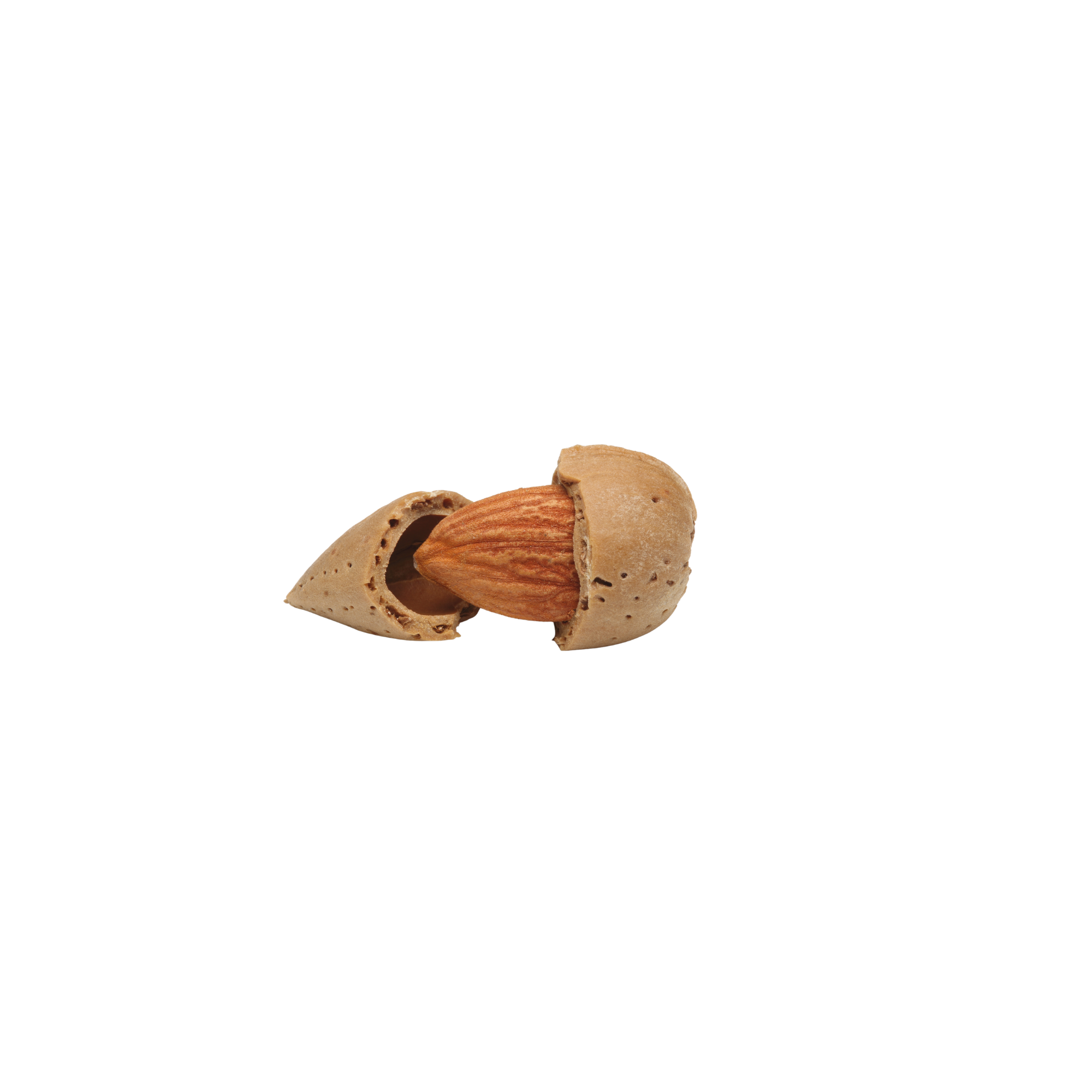 Amandelen in dop | 500g | noten