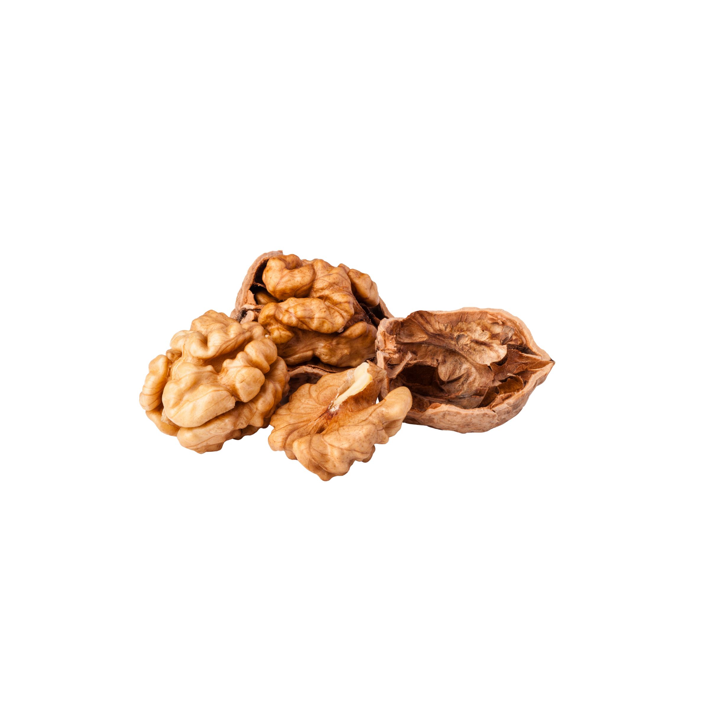 walnoten in dop | 500g | noten