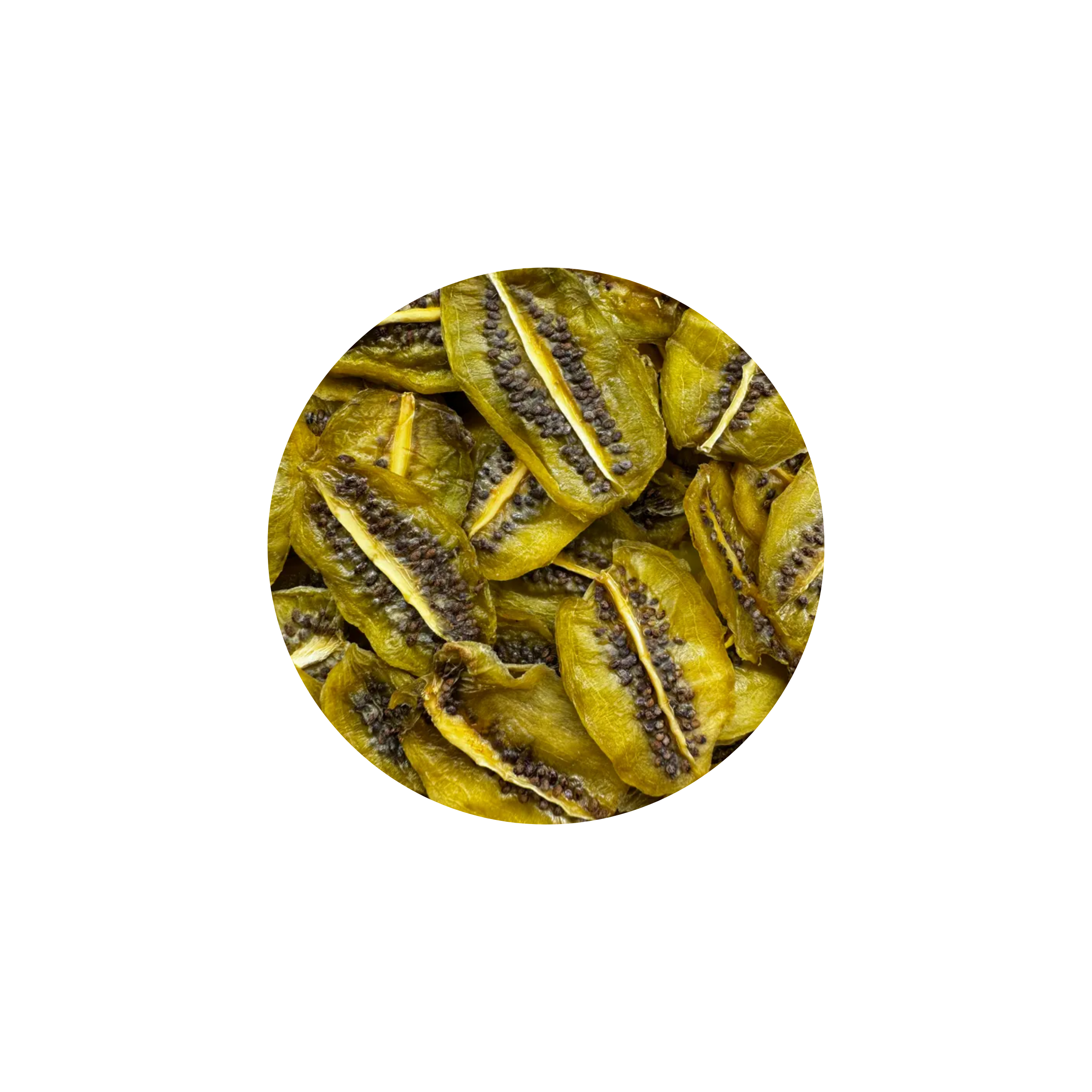 Kiwi Jungle Beast | natuurlijk gedroogd | 50g